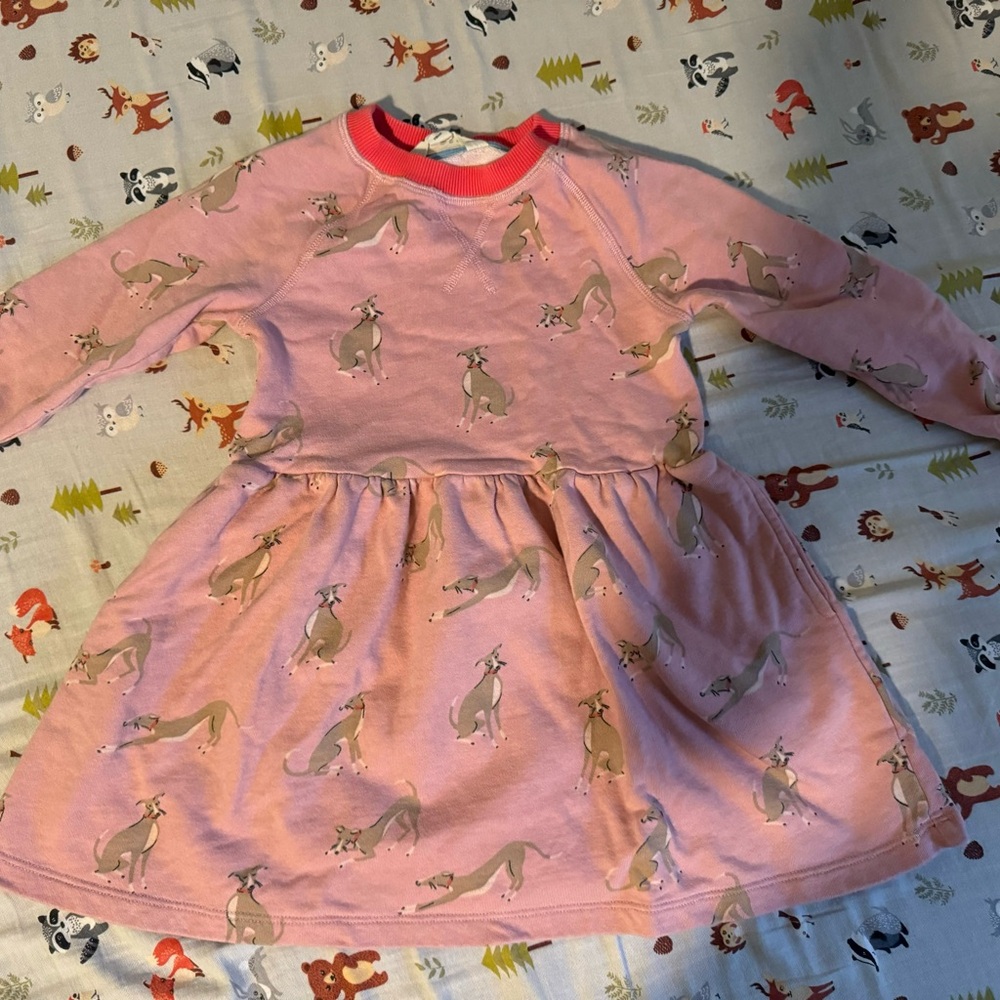 Mini Biden kids dress(5-6 yrs)